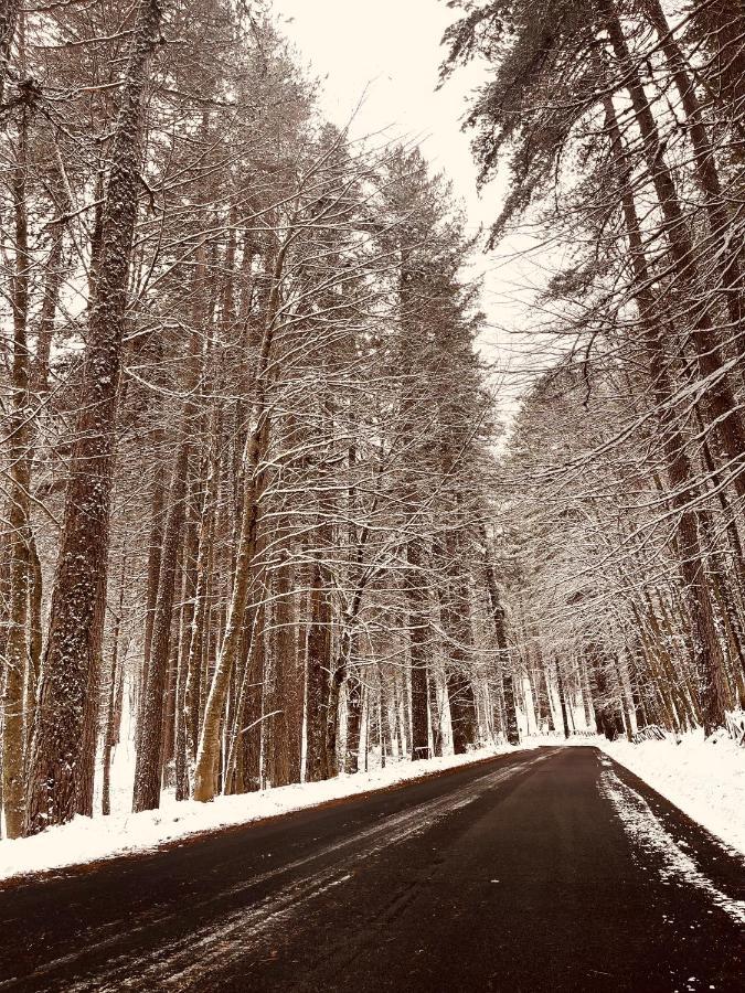La Veranda Nella Neve - カミリアテッロ・シラーノ エクステリア 写真